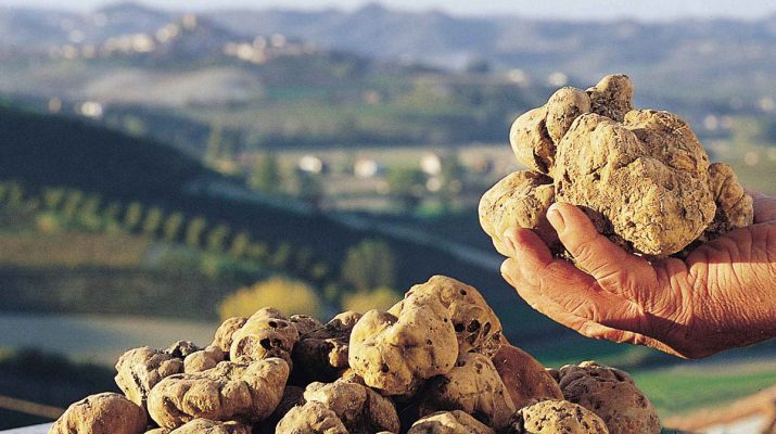 Il tartufo, un prodotto eccezionale della cultura culinaria italiana 1